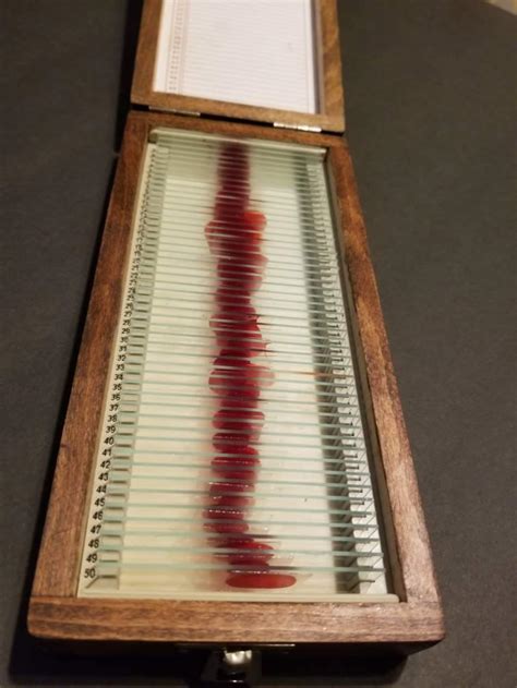 Dexter Blood Slide Box - Etsy