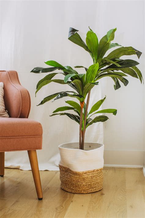 Dracaena Indoor Faux Plant - Faux Plants Indoor, Artificial Plants for ...