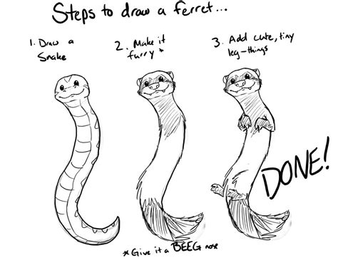 How to Draw a Cute Ferret