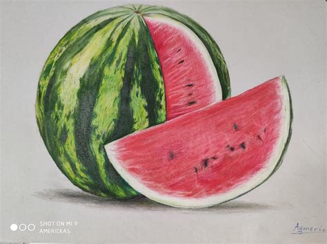 Watermelon Flower Drawing at Michael Dittmer blog
