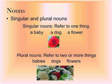 Nouns from Simona Tatar | PPT