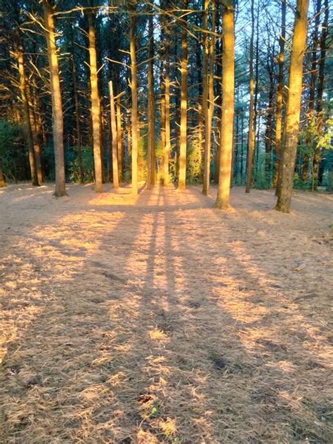 Elver Park | Course Photos