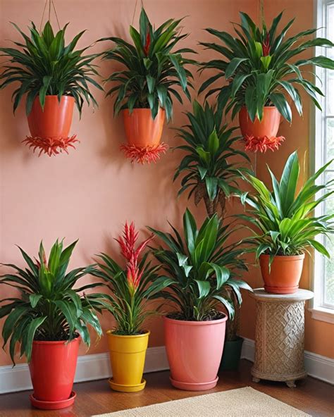 8 Best Tropical Indoor Plants