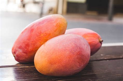 Can Rabbit Eat Mango? Discover The Surprising Facts - Vet Advises