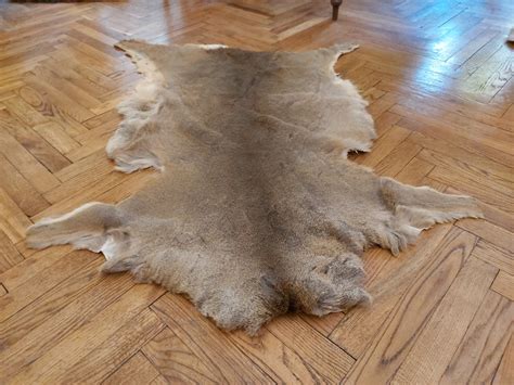 Set of 3 large roe deer skin hide area rug luxury living room | Etsy