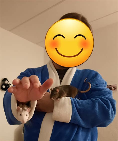 Two girls having fun! : r/RATS
