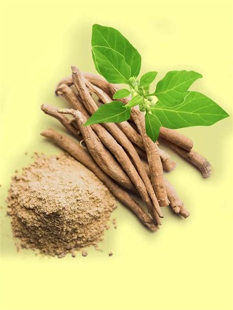 What is Ashwagandha?