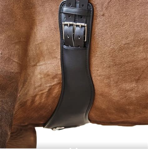 Collegiate Anatomic Girth