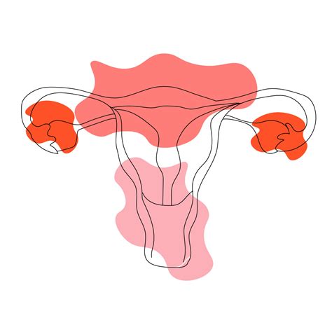 One continuous single drawing line art doodle Women uterus . Isolated ...