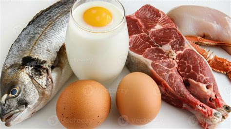Fish, eggs, meat and milk on a white background 53863013 Stock Photo at ...