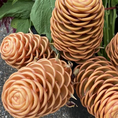 Beehive Ginger - The Flower Express