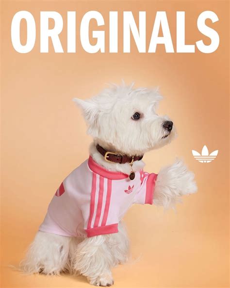 adidas Originals Pet Collection