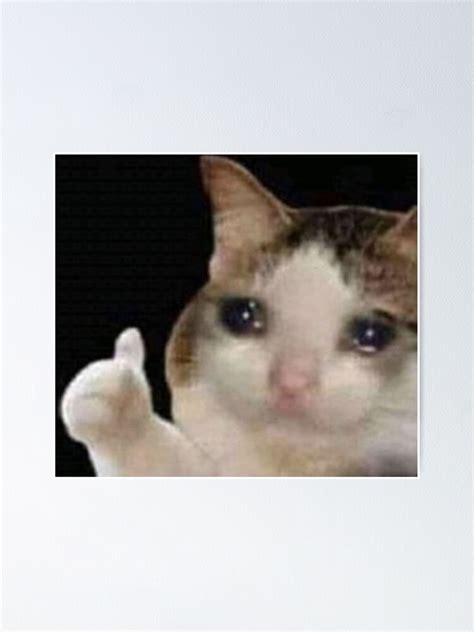 "Sad Wholesome thumbs up cat" Poster by rharker09 | Redbubble