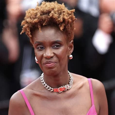 'Misogynoir à la Française': A racist caricature of Rokhaya Diallo ...