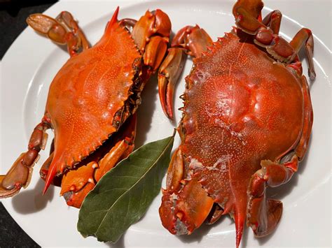 Cangrejo azul de San Carlos Hervido - Peixos i Mariscs Cambrils ...