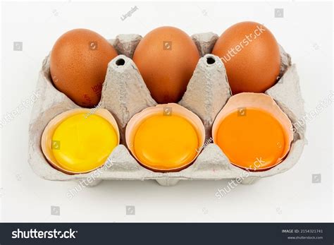 Egg Yolk Coloring Page