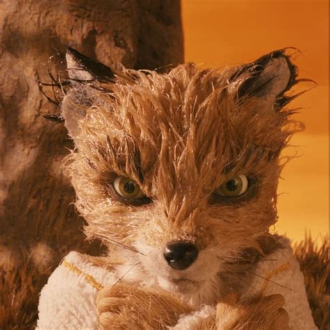 Ash Fox | Fantastic mr fox, Fantastic fox, Fox movies