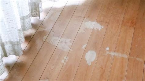 How to Remove Stains from Vinyl Flooring? (3 DIY Methods)