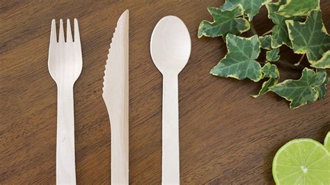 Eco-friendly alternatives to plastic cutlery - FOOGO Green