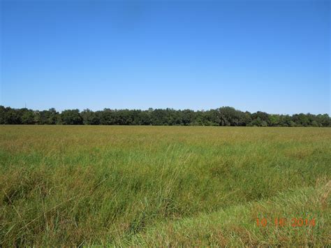 Gallery | Hardee County Property Appraiser