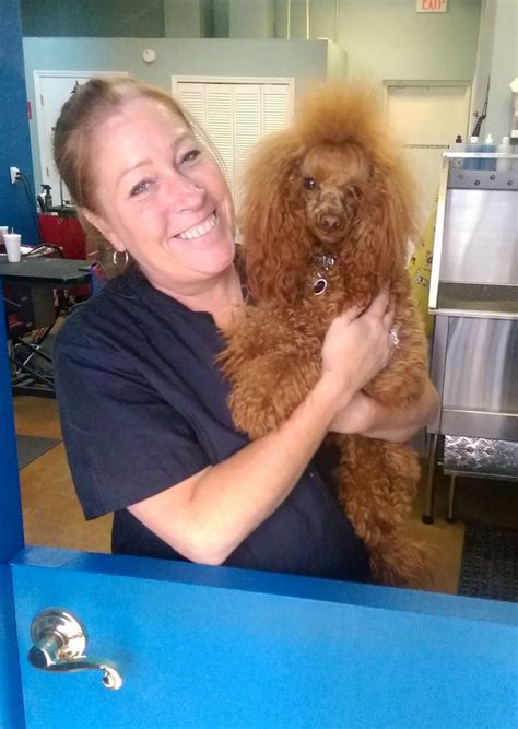 All 4 Paws Grooming Racine Wi at Veronica Green blog