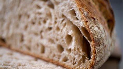 Is Sourdough Bread Gluten Free? - Eat Sourdough on a Gluten-Free Diet
