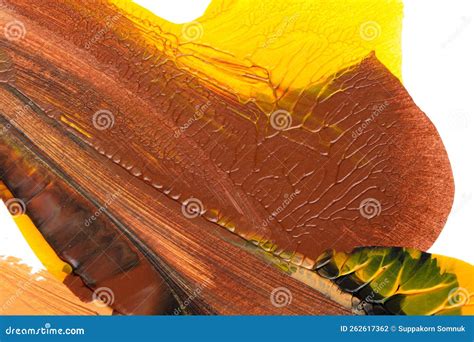 Brown Creammy Yellow Abstract Acrylic Painting Color Texture on White ...