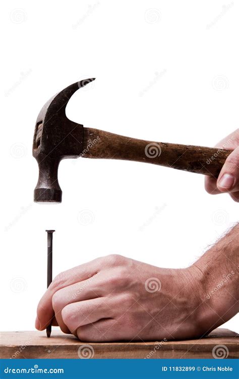 Hitting the Nail on the Head Stock Image - Image of build, nail: 11832899