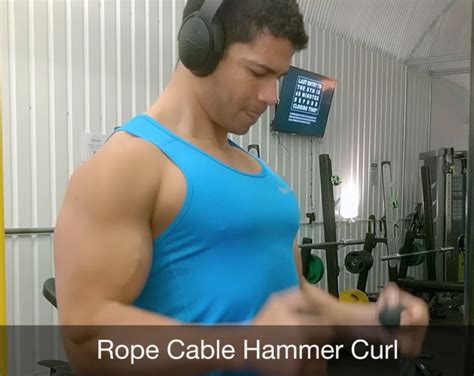 Rope Hammer Curls Form at Carolyn Cotter blog