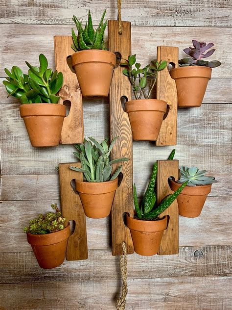 Plants For Hanging Planters Indoor at Milton Murphy blog