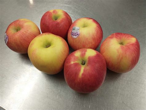 Lady Alice Apples - NSHF