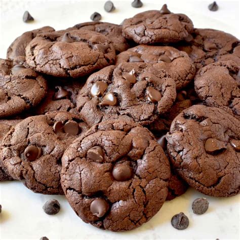 Fudgy chocolate cookies (with cocoa powder) - Simple Living Recipes