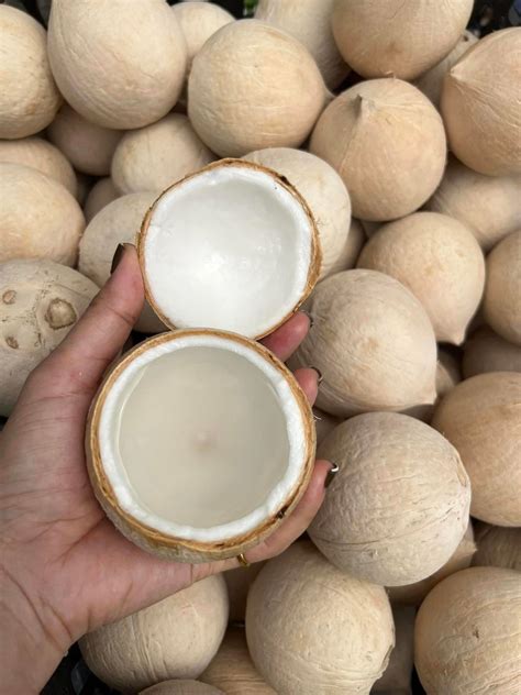 AMBIL SEKARANG
