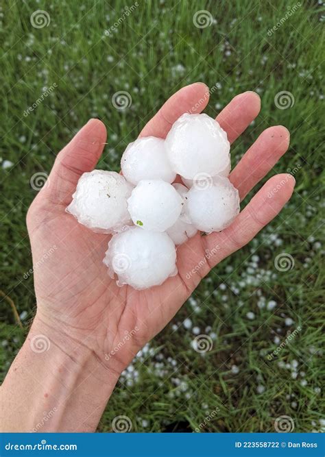 A Personâ€™s Hand Holding Many Large Hailstones Ranging from Half ...