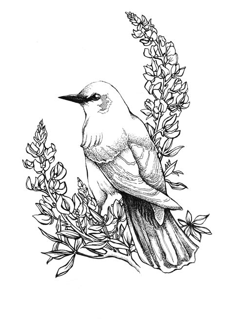 Flowers And Birds Drawing at PaintingValley.com | Explore collection of ...