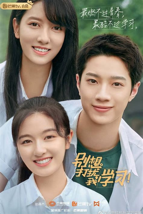 Don't Disturb My Study (TV Series 2021-2021) - Posters — The Movie ...