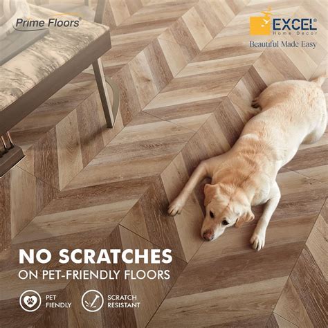 Stylish Pet Friendly Flooring For Modern Homes
