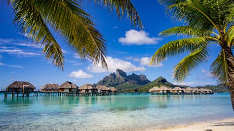 Desktop Wallpapers Bora Bora French Polynesia Bungalow Sea 2560x1440