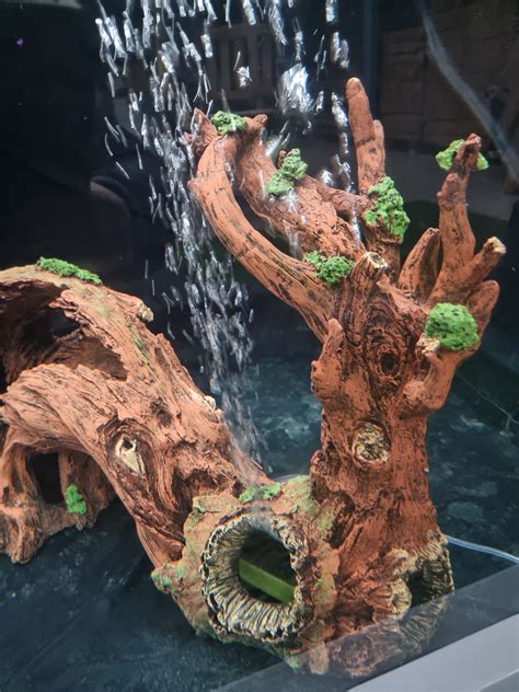 Driftwood from Garden Aquarium | Garden Aquarium