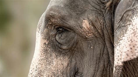 Big+Tit+Redheads+In+Bikinis Photos, Download The BEST Free Big+Tit+Redheads+In+Bikinis Stock ...