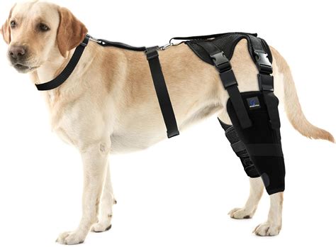 Amazon.com : FOXLVDA Double Dog Knee Brace, Dog Leg Brace for Torn Acl ...