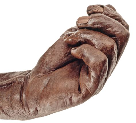 Close-up of the hand of "Old Croghan Man", a well-preserved Iron Age ...