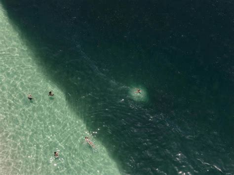 Big+Beautiful+Butts+In+Thongs Photos, Download The BEST Free Big ...