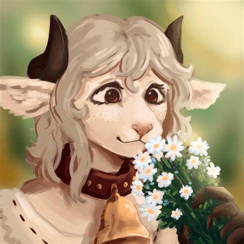 How To Draw Sheep Furry