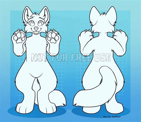 Furry Reference Sheet Base Canine and Feline | Etsy