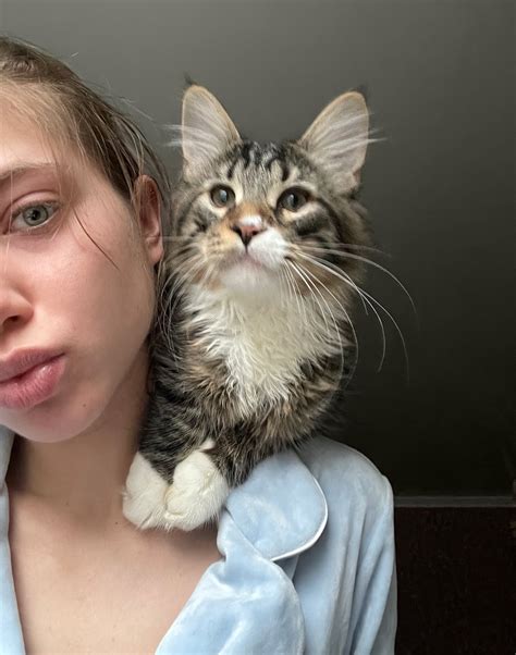 Anna on Twitter: "Tiger. #shouldercat #selfietime #selfies #selfie #petselfie #mytiger # ...