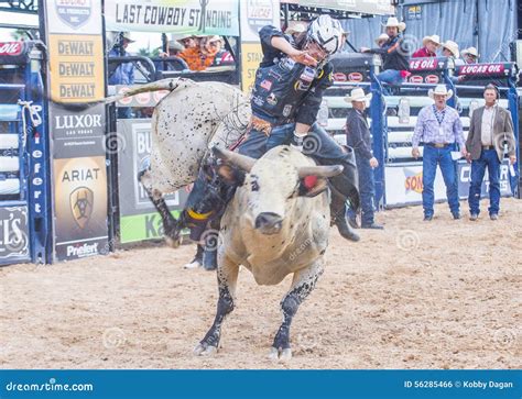 Last Cowboy Standing