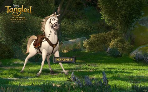 Maximus the Horse from Disney's Tangled Desktop Wallpaper