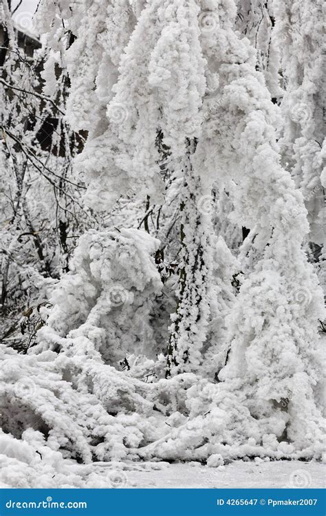 Crystal of ice stock image. Image of close, guizhou, yunwu - 4265647