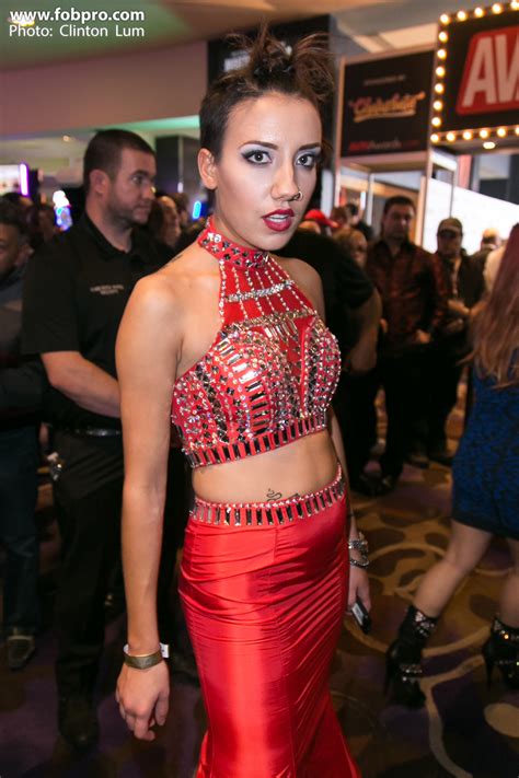 AVN Awards 2017 (Page 72 of 75) - FOB Productions